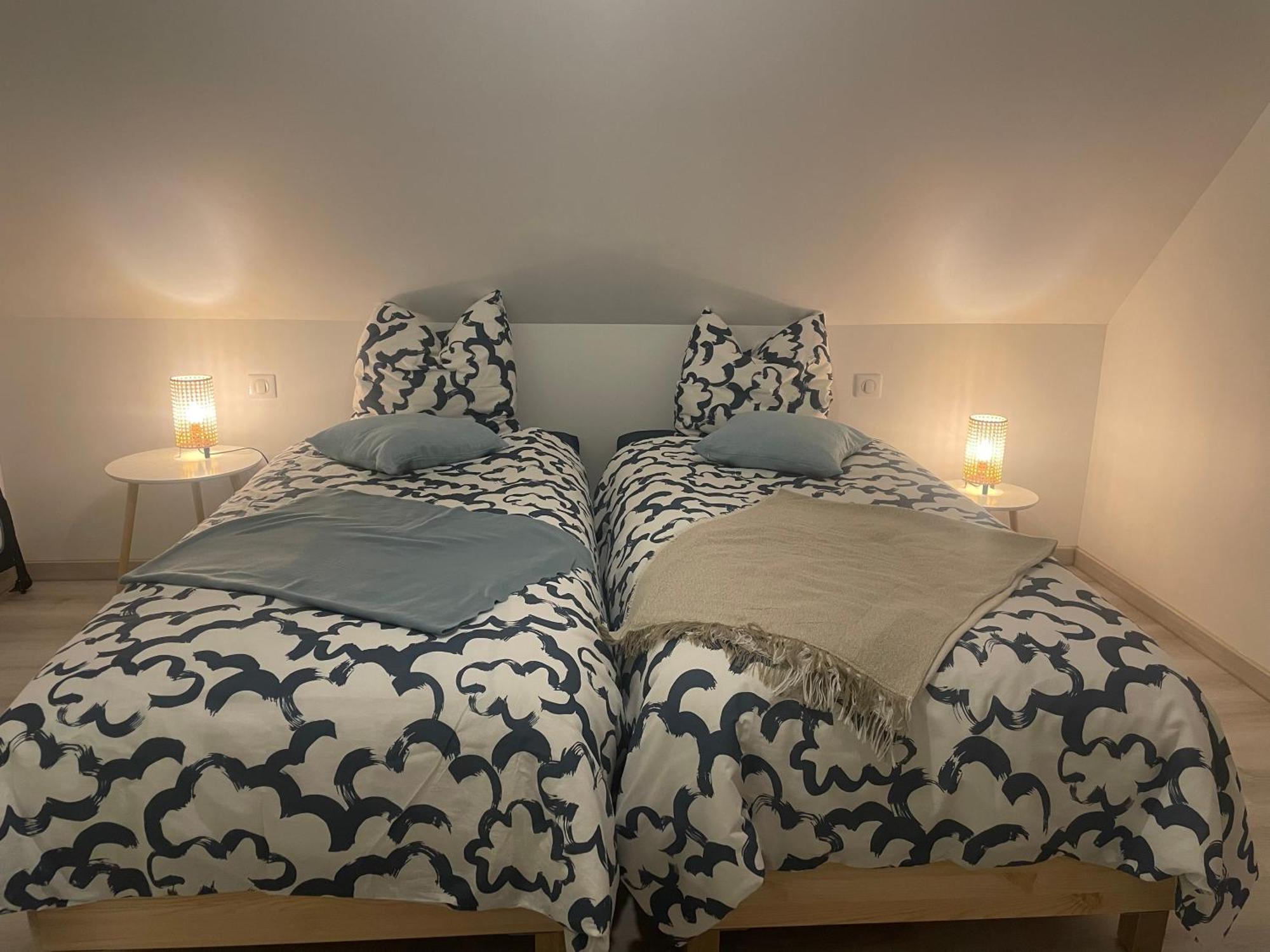 Maison Spacieuse Et Moderne Strasbourg オストヴァルト エクステリア 写真